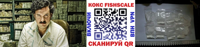 Cocaine FishScale  закладки  Арамиль 