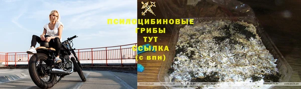 индика Алзамай