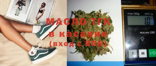 индика Алзамай