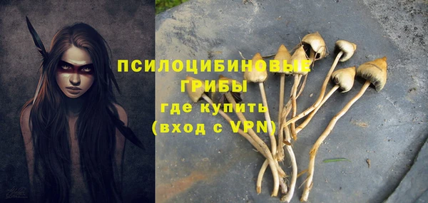 индика Алзамай