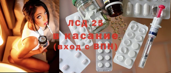 индика Алзамай