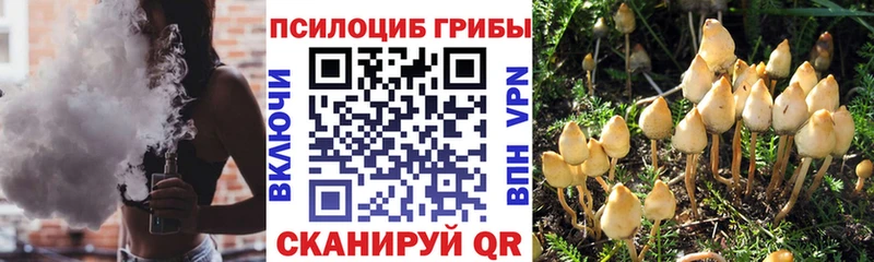 где продают Арамиль Галлюциногенные грибы ЛСД